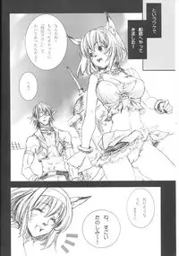 (C74) [Akai Tsubasa (Tachibana Chata)] LOVE FOOL 02 (Final Fantasy XI)