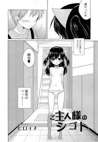 COMIC RiN 2010-11