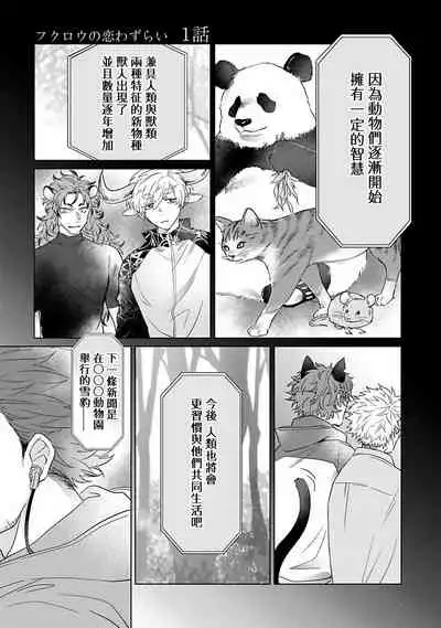 Fukurou no Koiwazurai | 猫头鹰的相思病