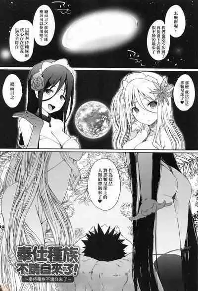Houshi Shuzoku ga Yattekita!