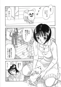[Satou Marumi] Okusama Ha Chijyo ~Shuuchi Hen~
