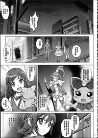 (C87) [Cyclone (Izumi, Reizei)] 1004P+ Cyclone no Soushuuhen (Precure Series) [Chinese]