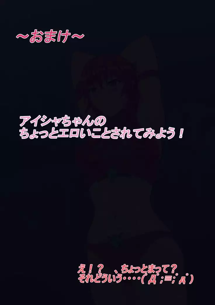 アイシャの設定とおまけ