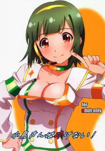 (C91) [Studio N.BALL (Haritama Hiroki)] Usugitanai Cinderella (THE IDOLM@STER CINDERELLA GIRLS)