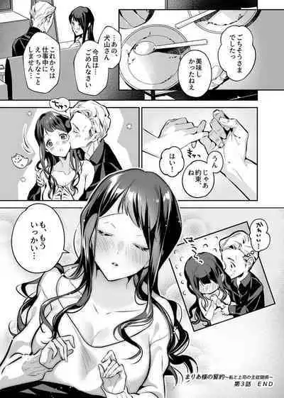 COMIC GEE Vol. 17