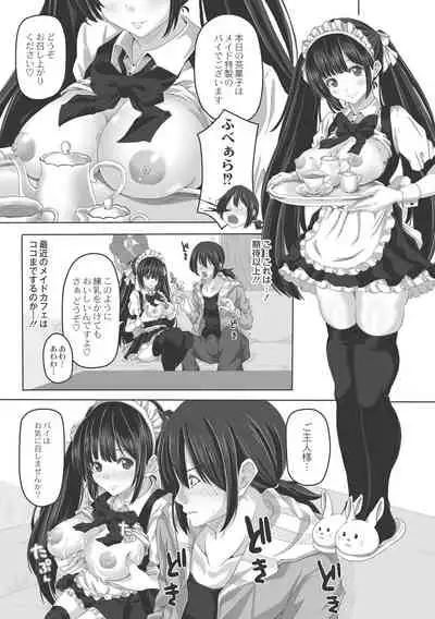 Ashikokisky