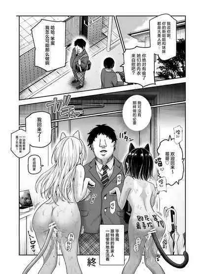 Totsuzen Gishi to Gimai ga Dekite Shimatta Ken EX