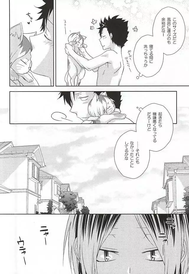 Neko Otoko Ichizoku no Koubi Report