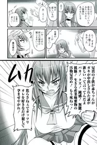 [Nozarashi Satoru] Do S na Hime wa Kegasareru - Ouhou no Shou -