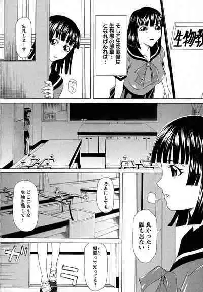 Kyonyuu-bu e Youkoso! | WELCOME TO THE BIG BOOBS CLUB!