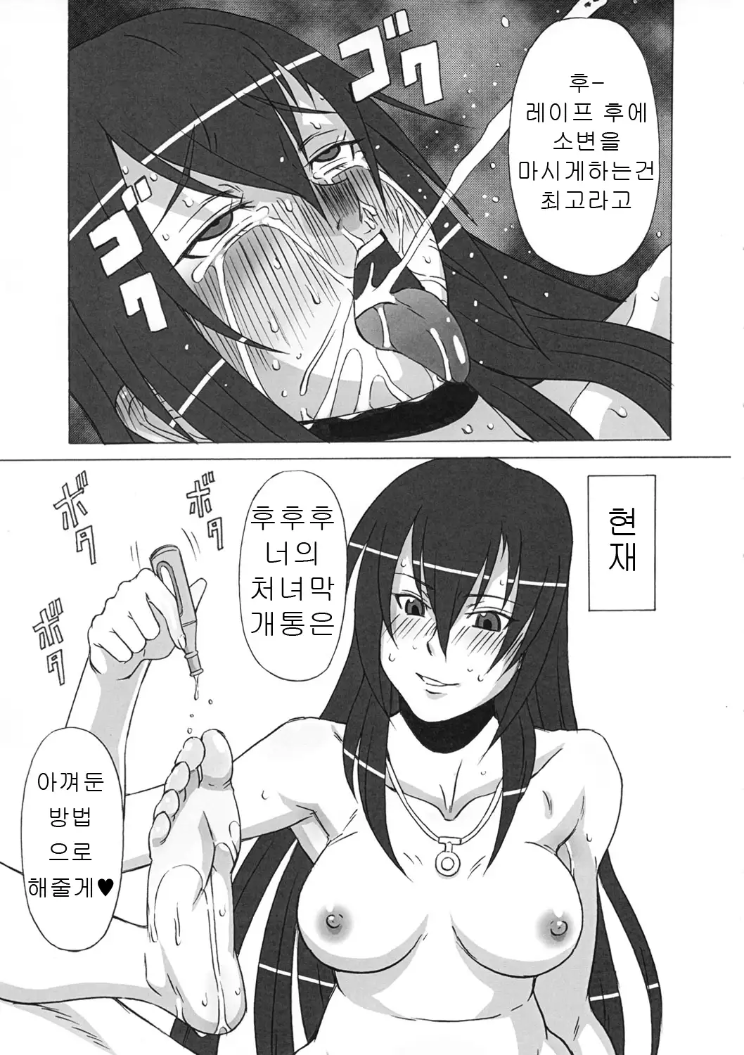Hilda-san ni Hidoi Koto wo Shitemita