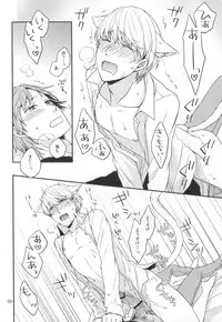 (C83) [Swallow Sky (Rihara)] CRAZY CAT LOVER (Persona 4)