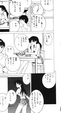 (C50) [Moriman Shouten (Various)] Katze 14 (Neon Genesis Evangelion)