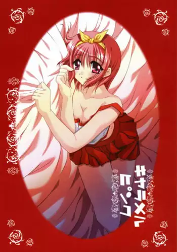 (CosCafe12) [PINK (Araiguma)] DREAMER (Uchuu No Stellvia)