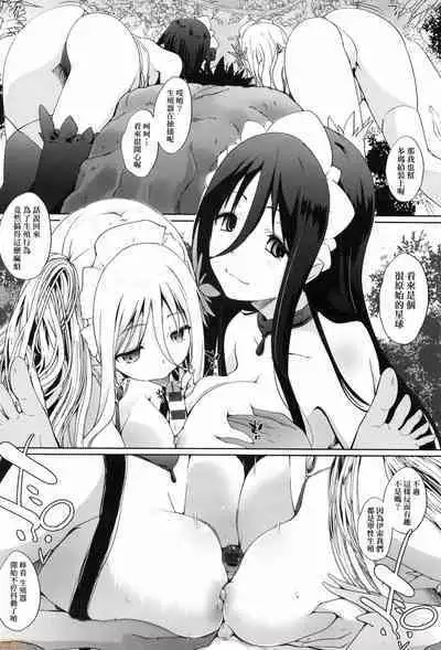 Houshi Shuzoku ga Yattekita!