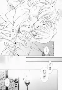 (C73) [Totsugeki Wolf (Yuhki Mitsuru)] Netemo Sametemo (Harukanaru toki no naka de)