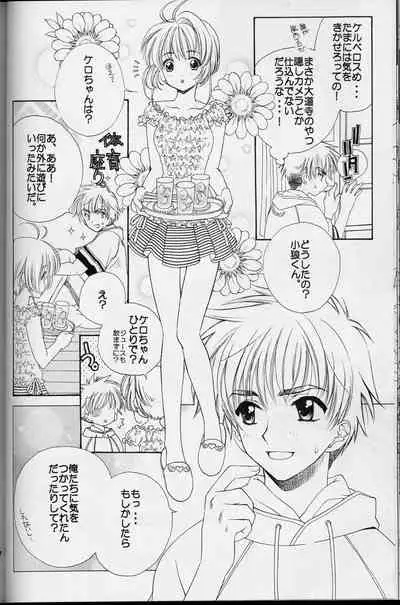 Sakura Sakura