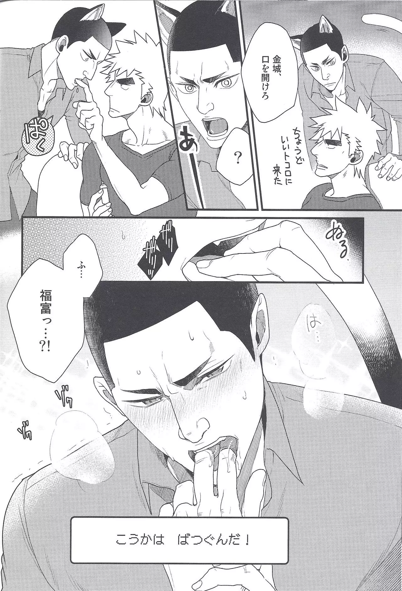 Shippo no Kimochi