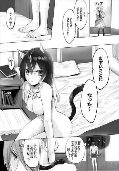 Dascomi Vol.7 [Digital]