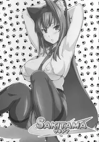 (C73) [Shinjugai (Takeda Hiromitsu)] Sakitama (Arcana Heart) [English] [desudesu]