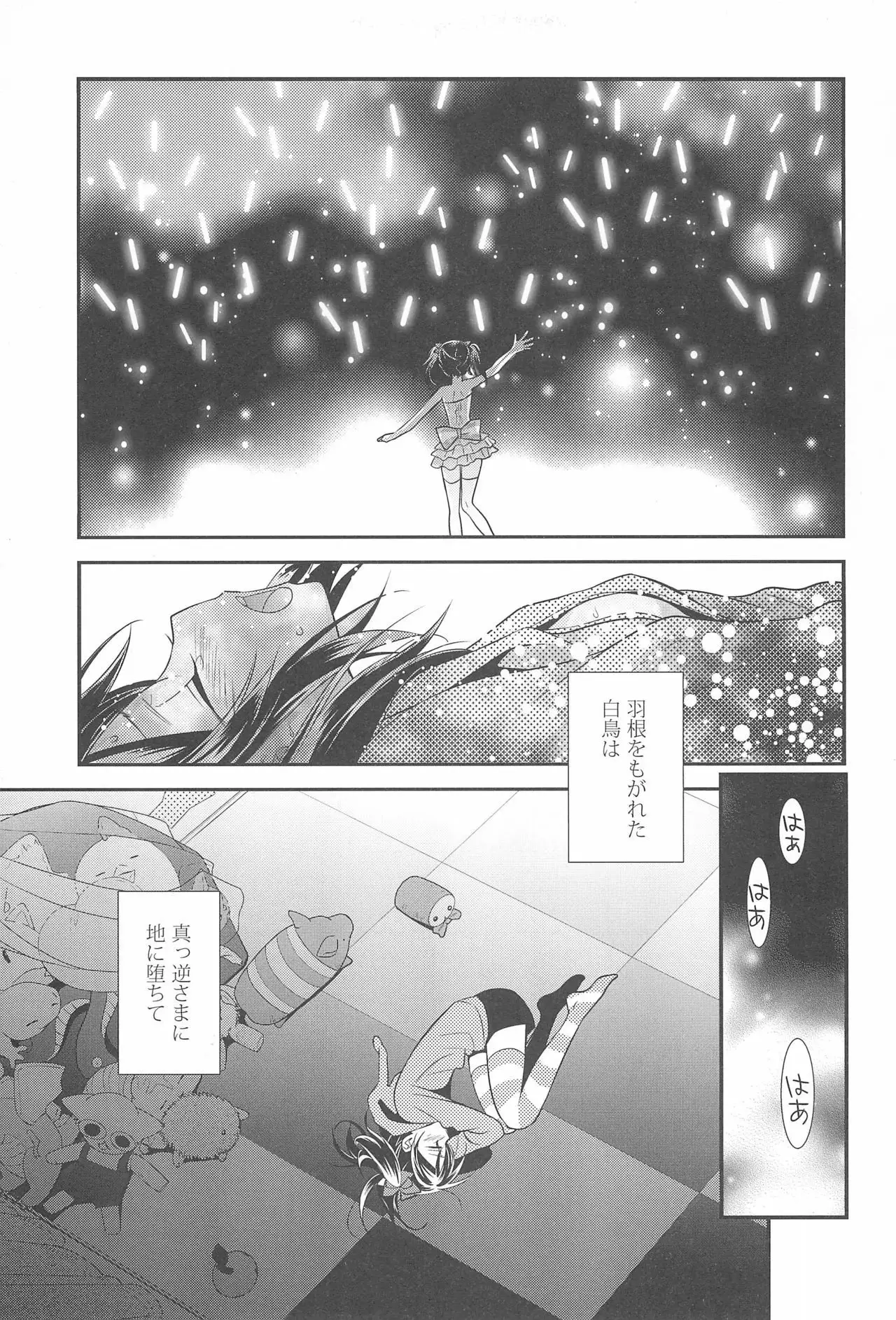 NICO & MAKI COLLECTION FINAL