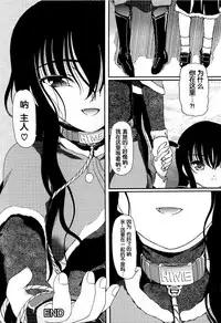 [Fujimiya Hiroshi] Shoujo no Kaikata Shitsukekata ~ Bishoujo Kankin Shiiku Nikki ~ [Chinese] [灵梦书院汉化]
