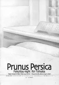 (C73) [Yakan Honpo & Yakan Hikou (Inoue Tommy)] Prunus Persica (Fate/stay night)