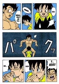 Dragon Ball H [Gohan X Videl (Colored)]