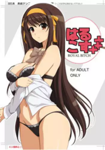 (C90) [Royal Bitch (haruhisky)] HARUCOS+++ (Suzumiya Haruhi no Yuuutsu)