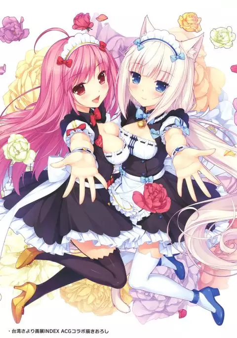 NEKO WORKs 05