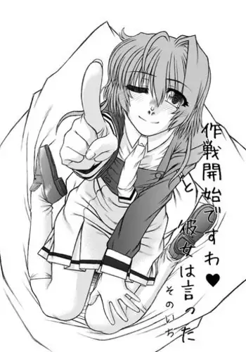[Fresnel Lens (Hirano Kana)] 19→13 VerF (Mahou Shoujo Lyrical Nanoha) [Digital]