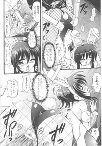 Bunny Girl Anthology Comics
