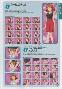 Super Real Mahjong Visual Fan Book Perfect Collection