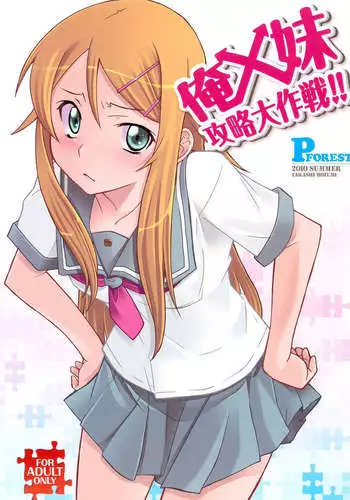 Tsundere Imouto to no Nichijou | 与傲娇妹妹的日常