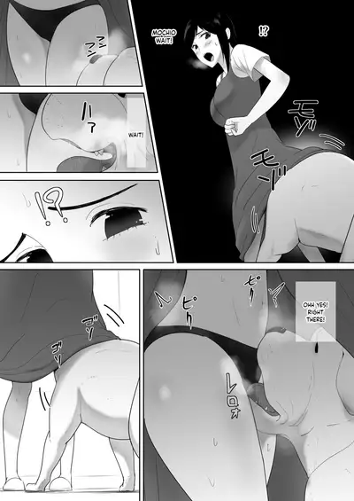 Wagaya ni Inu ga Yattekita 2