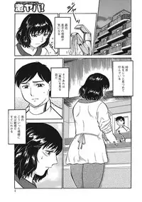 [Fujisawa Tatsurou] Jukujobo no Biniku ni Meromero [Digital]