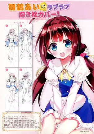 Youfuto Dakimakura Gashuu 1