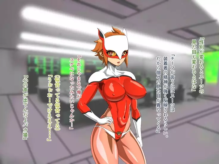 TS Sentai Hero Hibiki