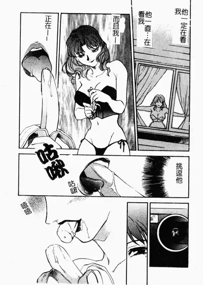 [Fujii Akiko, Akiyama Michio] OO II Junketsu no Hansayou [Chinese]