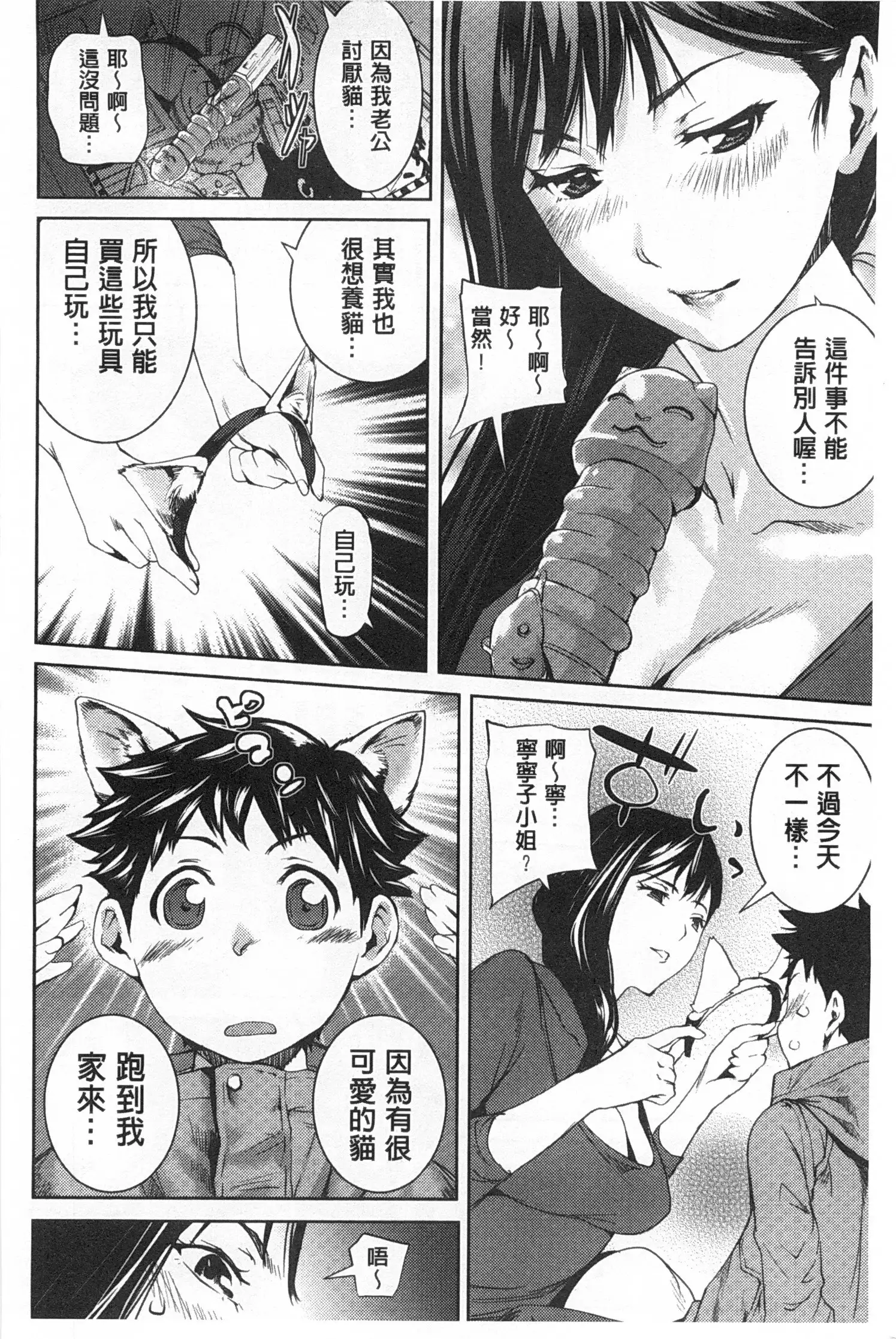 Himitsu No Hizumi