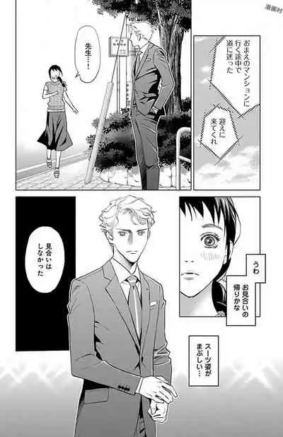 Subete Ai no Shiwaza/愛調教成性俘虜/爱调教成性俘虏/すべて愛のしわざ——もんでんあきこ vol 1-3End (Japanese)