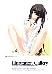 Maji de watashi ni Koi Shinasai S Visual Fanbook