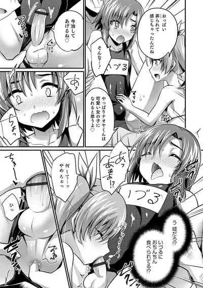 Etchina otokonoko no sodate-kata