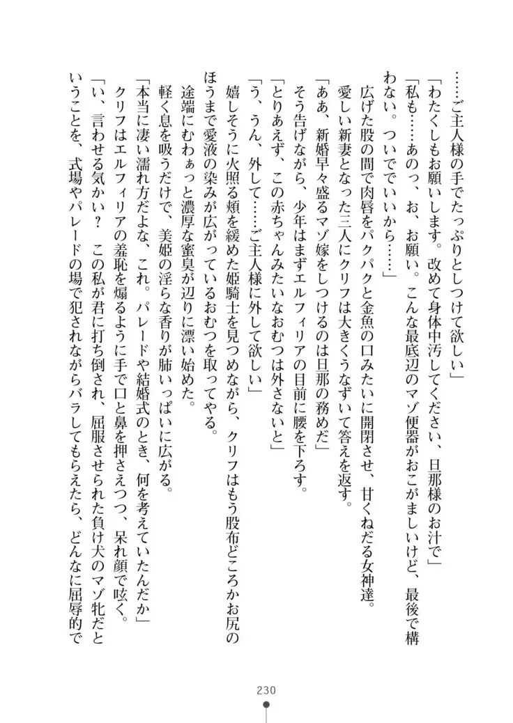 Cool Maso! Fantasy~ Shitsukete Himekishi Sama