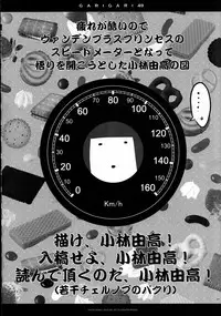 (C83) [Alemateorema (Kobayashi Youkoh)] GARIGARI49 (Touhou Project)