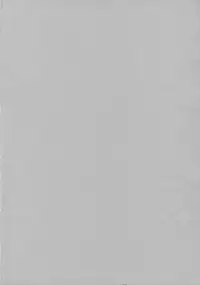 (C70) [Todd Special (Todd Oyamada)] Yukemuri NyanNyan Jiken (Bleach)