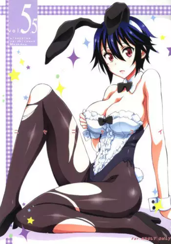 (C88) [Project Harakiri (Kaishaku)] Nisenisekoi 6 (Nisekoi) [Chinese]