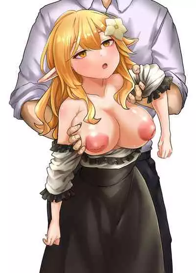 [Beauty Salon B & S (BS3)] Elf o Okasu Hon 2 [Digital]
