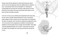 [MicroGravity] Ryoujoku Musou | Abuse Warriors (Warriors Orochi) [English] {3d0xp0xy}