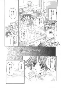 [Kojiki Ohji] Freesia
